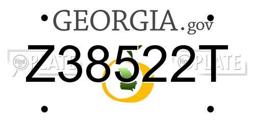 Z38522T Georgia License Plate