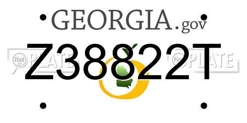 Z38822T Georgia License Plate
