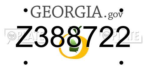 Z388722 Georgia License Plate