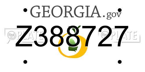 Z388727 Georgia License Plate