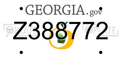Z388772 Georgia License Plate