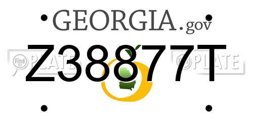 Z38877T Georgia License Plate
