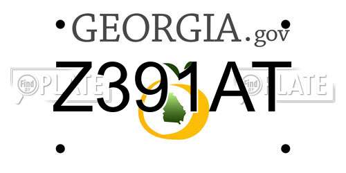Z391AT Georgia License Plate