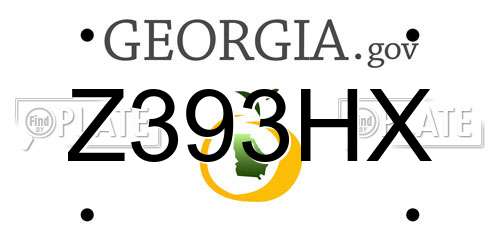 Z393HX Georgia License Plate