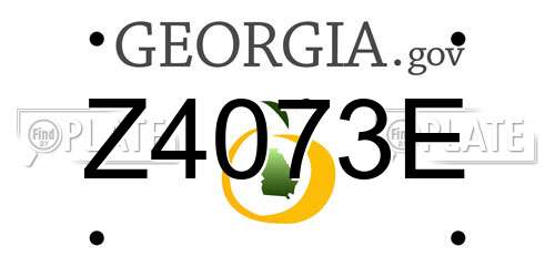 Z4073E Georgia License Plate