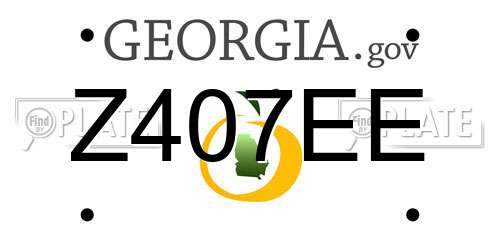 Z407EE Georgia License Plate