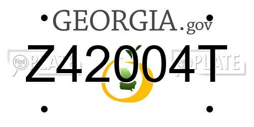 Z42004T Georgia License Plate
