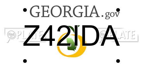 Z42IDA Georgia License Plate