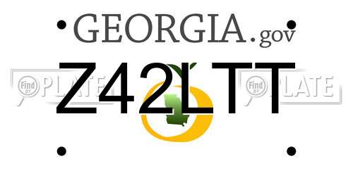 Z42LTT Georgia License Plate
