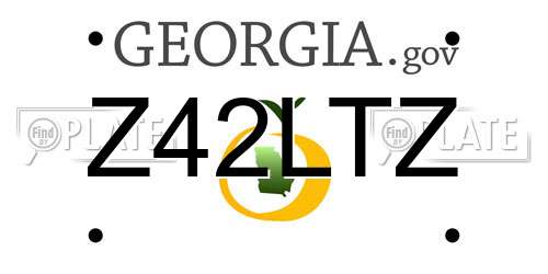 Z42LTZ Georgia License Plate