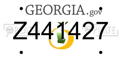 Z441427 Georgia License Plate