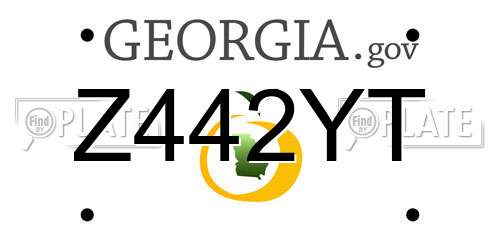 Z442YT Georgia License Plate