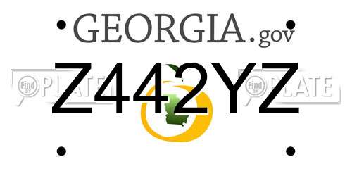 Z442YZ Georgia License Plate