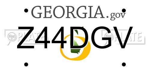 Z44DGV Georgia License Plate