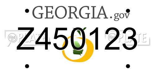 Z450123 Georgia License Plate