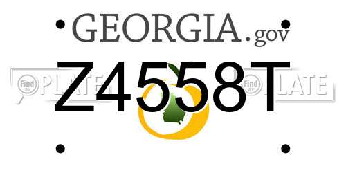 Z4558T Georgia License Plate