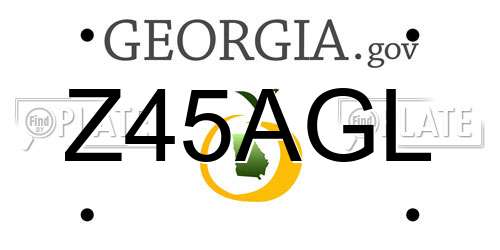 Z45AGL Georgia License Plate