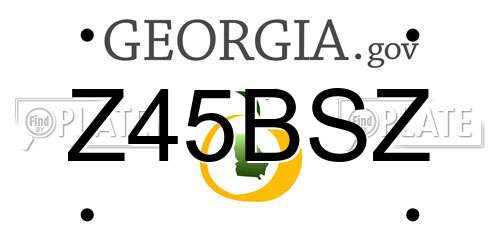 Z45BSZ Georgia License Plate