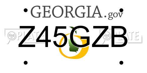 Z45GZB Georgia License Plate