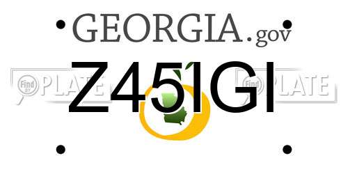 Z45IGI Georgia License Plate