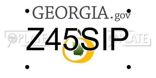Z45SIP Georgia License Plate