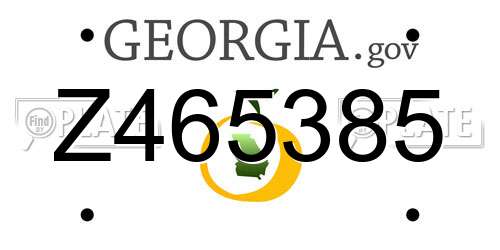 Z465385 Georgia License Plate