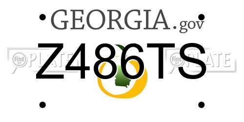 Z486TS Georgia License Plate