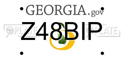 Z48BIP Georgia License Plate