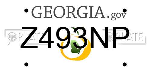 Z493NP Georgia License Plate