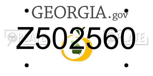 Z502560 Georgia License Plate