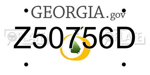 Z50756D Georgia License Plate
