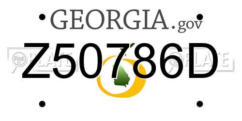 Z50786D Georgia License Plate