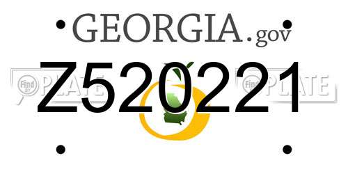 Z520221 Georgia License Plate