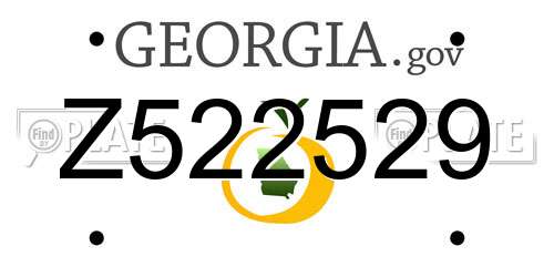Z522529 Georgia License Plate