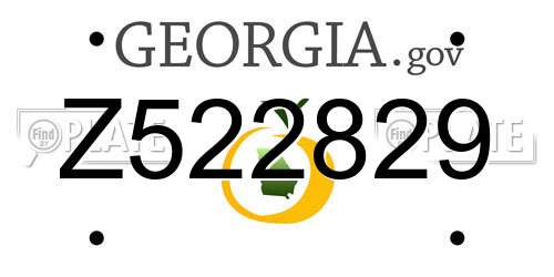 Z522829 Georgia License Plate