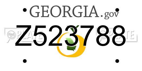 Z523788 Georgia License Plate
