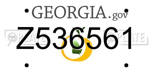 Z536561 Georgia License Plate