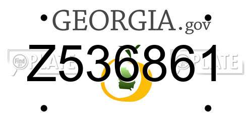Z536861 Georgia License Plate