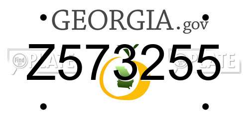 Z573255 Georgia License Plate