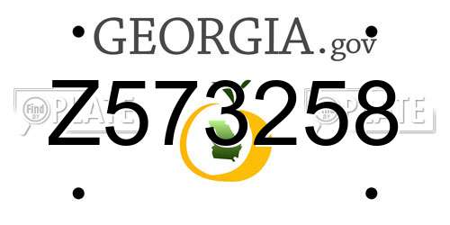 Z573258 Georgia License Plate