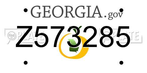 Z573285 Georgia License Plate