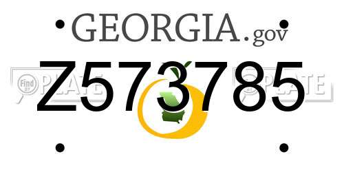 Z573785 Georgia License Plate