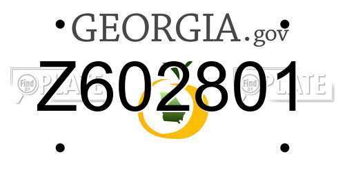 Z602801 Georgia License Plate