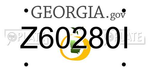 Z60280I Georgia License Plate