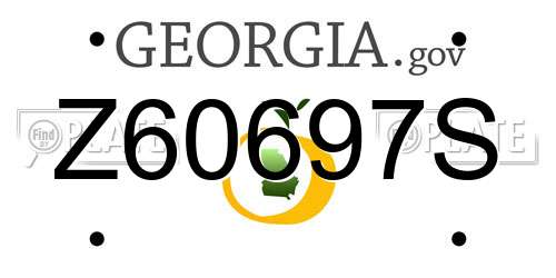 Z60697S Georgia License Plate