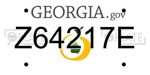 Z64217E Georgia License Plate