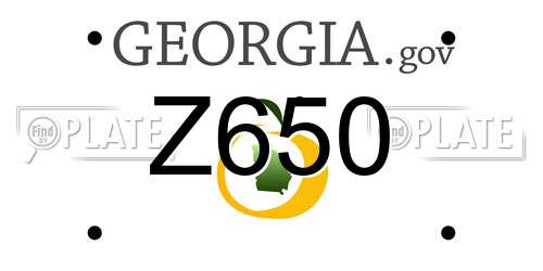 Z650 Georgia License Plate