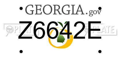 Z6642E Georgia License Plate
