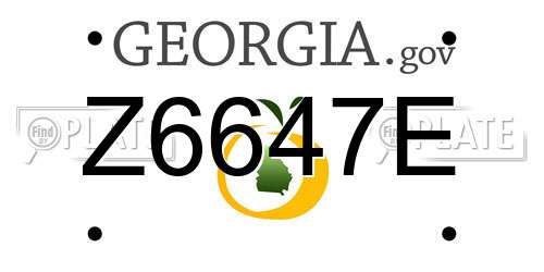 Z6647E Georgia License Plate