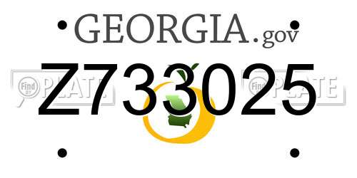 Z733025 Georgia License Plate